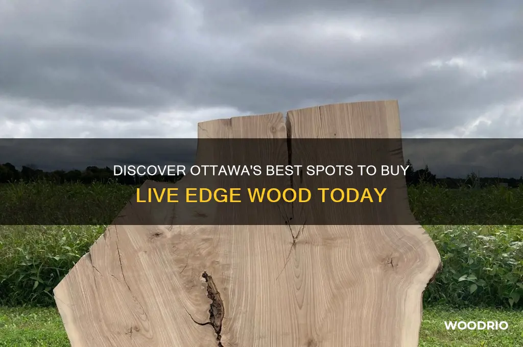 where to buy live edge wood ottawa