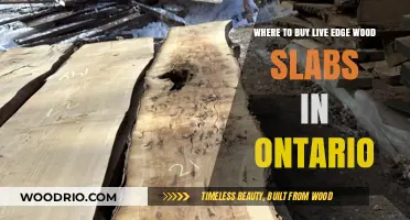 Discover Ontario's Top Sources for Live Edge Wood Slabs
