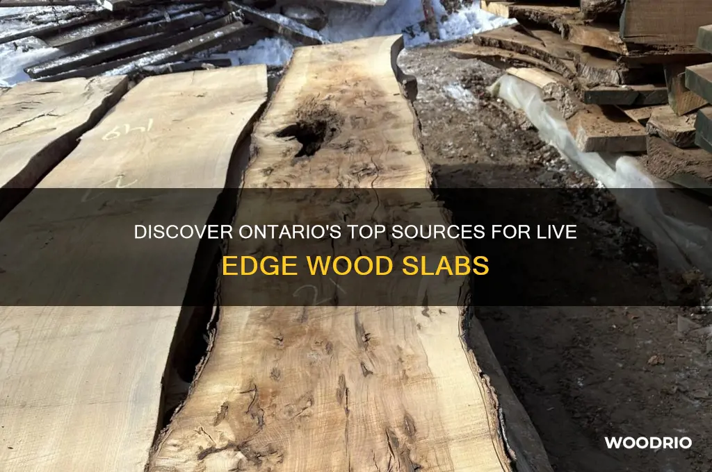 where to buy live edge wood slabs in ontario