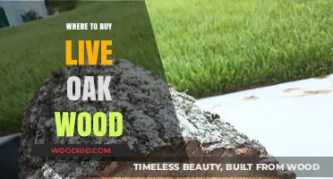 Best Places to Purchase Live Oak Wood for Your Projects