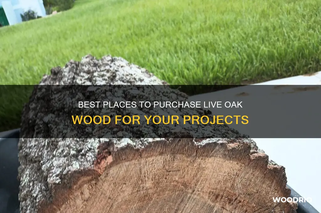 where to buy live oak wood