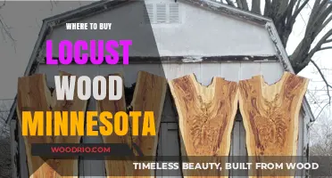 Locust Wood in Minnesota: Top Suppliers and Buying Guide