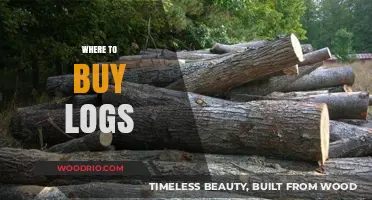 Best Places to Buy Quality Firewood Logs Near You