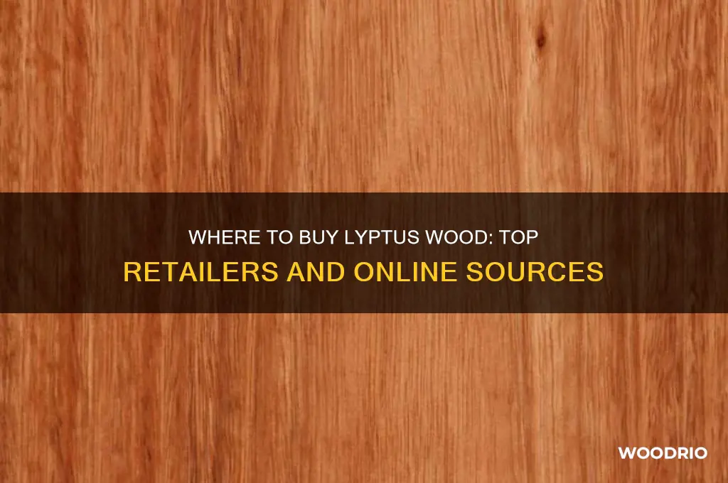 where to buy lyptus wood