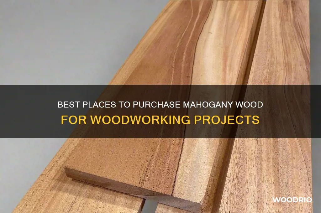 where to buy mahogany wood for woodworking
