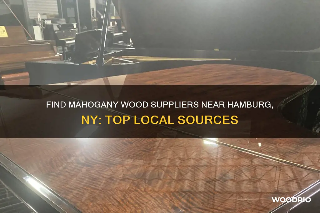 where to buy mahogany wood near hamburg ny