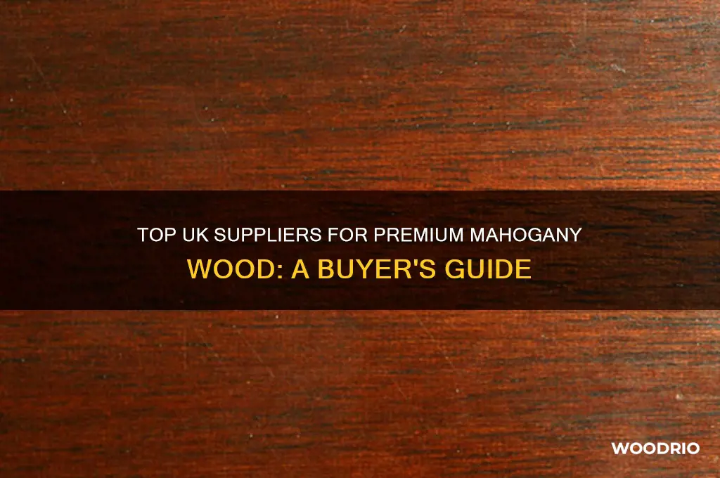 where to buy mahogany wood uk