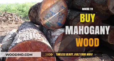 Top Sources for Quality Mahogany Wood: A Buyer's Guide