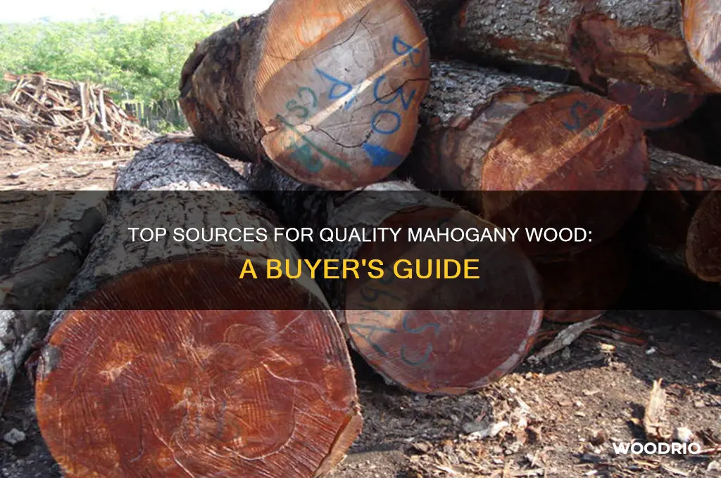 where to buy mahogany wood