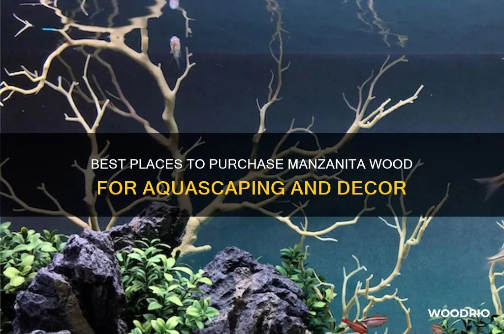 where to buy manzanita wood