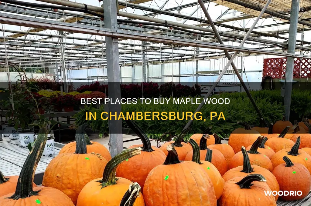 where to buy maple wood chambersburg pa