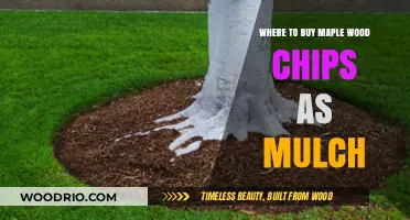 Best Places to Purchase Maple Wood Chips for Garden Mulch