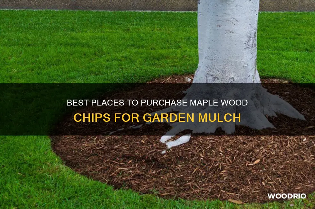 where to buy maple wood chips as mulch