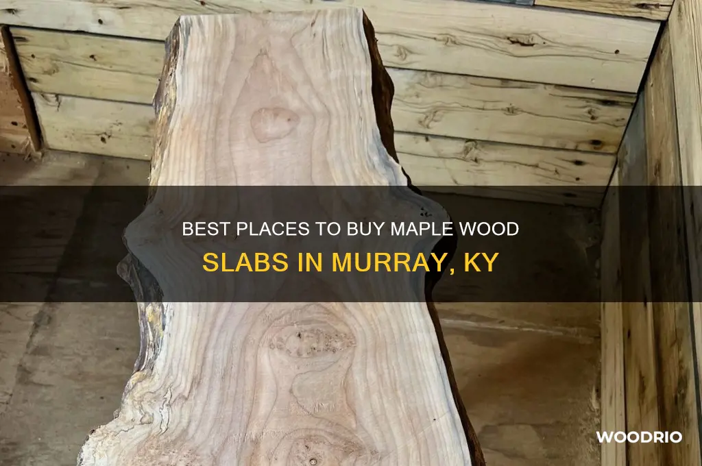 where to buy maple wood slabs murray ky