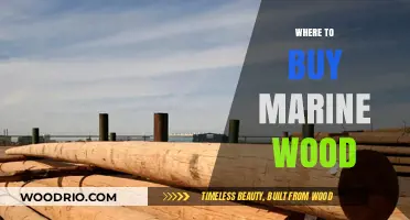 Best Places to Buy High-Quality Marine Wood for Your Boat Projects