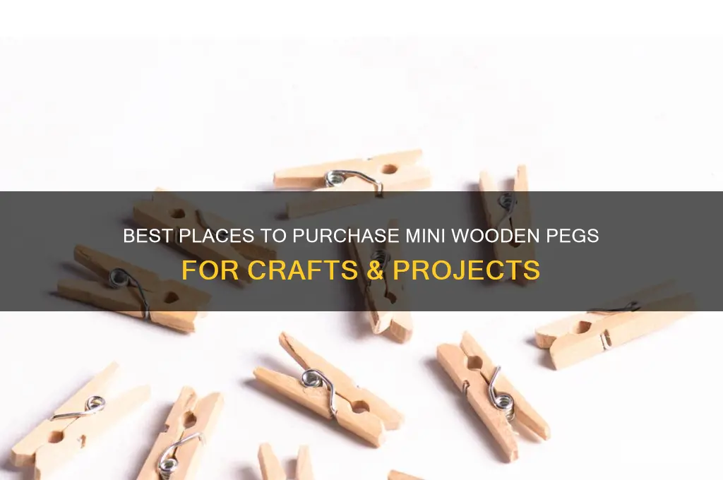 where to buy mini wooden pegs