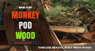 Discover the Best Places to Buy Authentic Monkey Pod Wood