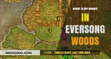 Eversong Woods Mounts: Top Locations to Purchase Your Ride