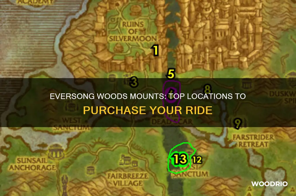 where to buy mounts in eversong woods