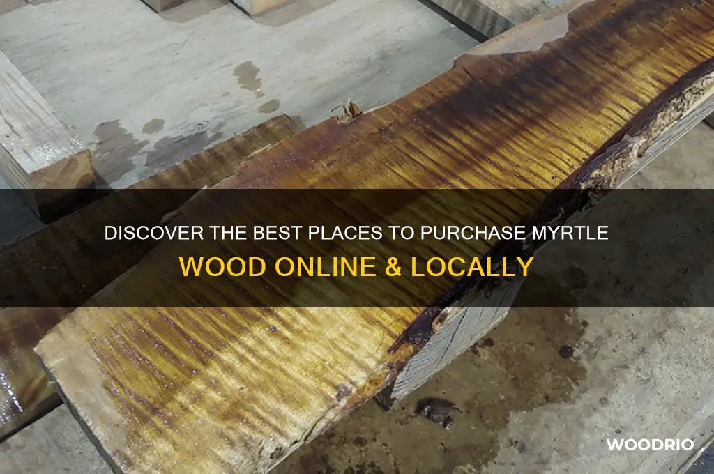 where to buy myrtle wood