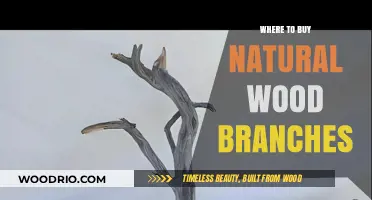 Discover the Best Sources to Buy Natural Wood Branches Online
