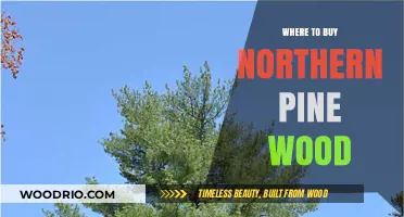 Best Places to Purchase High-Quality Northern Pine Wood Online & Locally