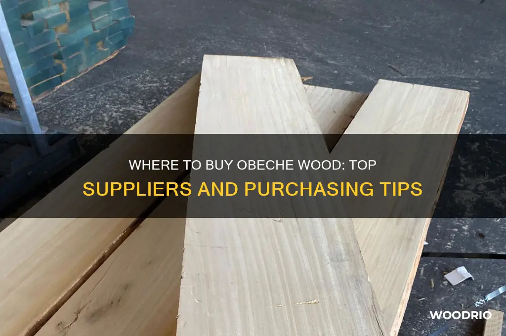 where to buy obeche wood