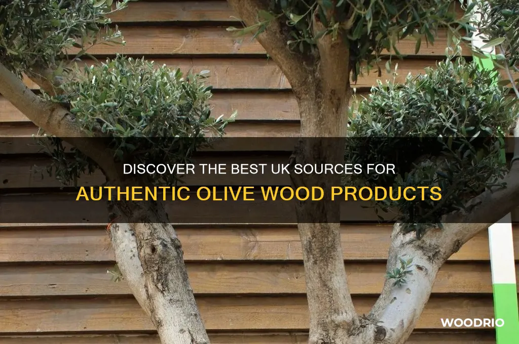 where to buy olive wood in uk