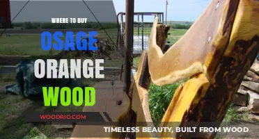 Where to Find and Buy Osage Orange Wood for Your Projects