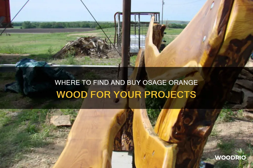 where to buy osage orange wood
