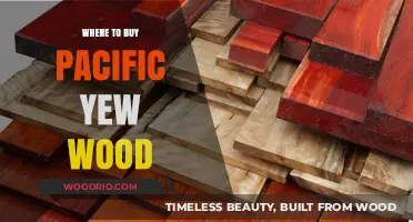 Where to Find and Purchase Pacific Yew Wood: A Comprehensive Guide