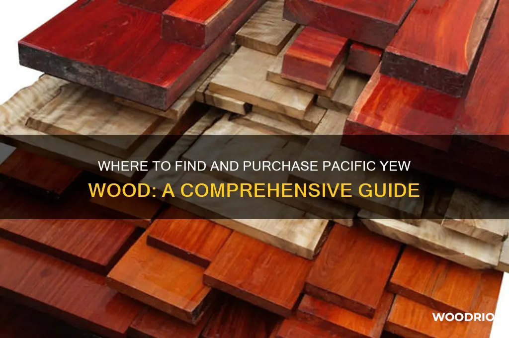 where to buy pacific yew wood