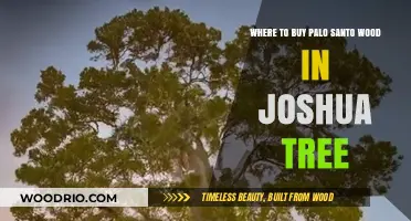 Discover Authentic Palo Santo Wood in Joshua Tree: Top Local Shops