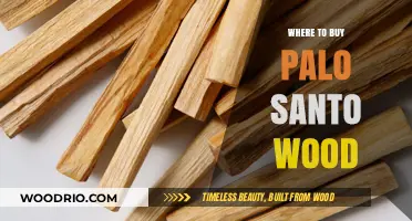Discover the Best Places to Buy Authentic Palo Santo Wood