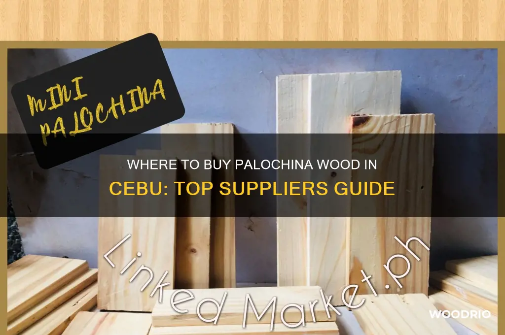 where to buy palochina wood in cebu