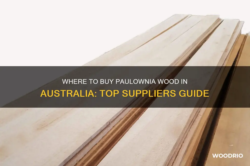 where to buy paulownia wood in australia