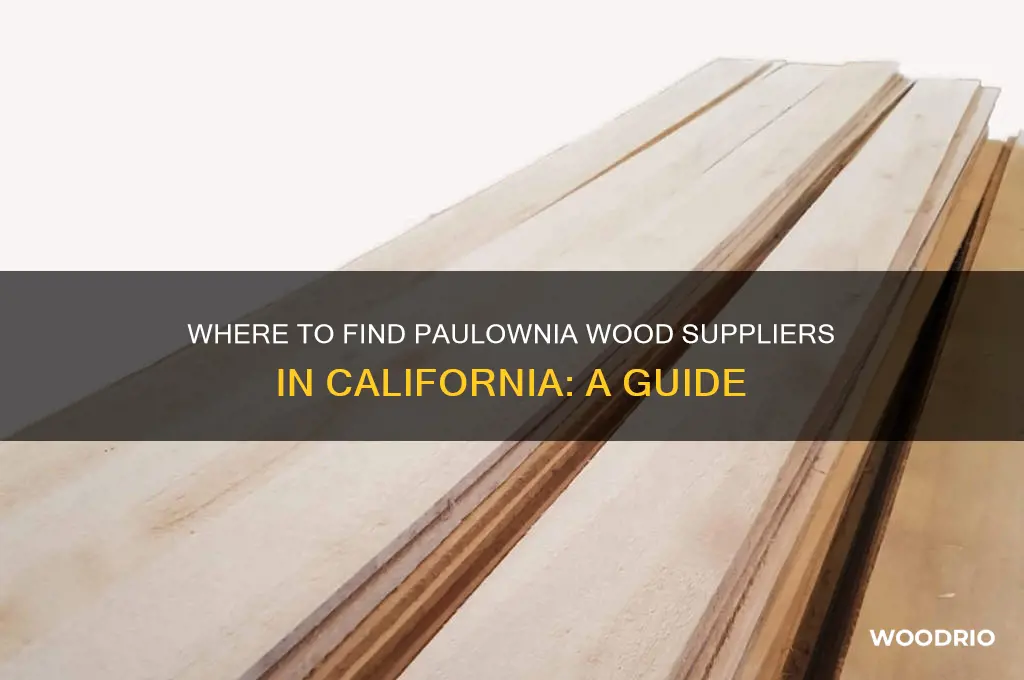 where to buy paulownia wood in california