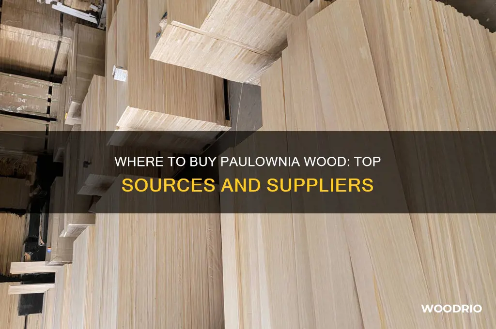 where to buy paulownia wood