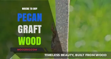 Best Sources for Quality Pecan Graft Wood: A Buyer's Guide
