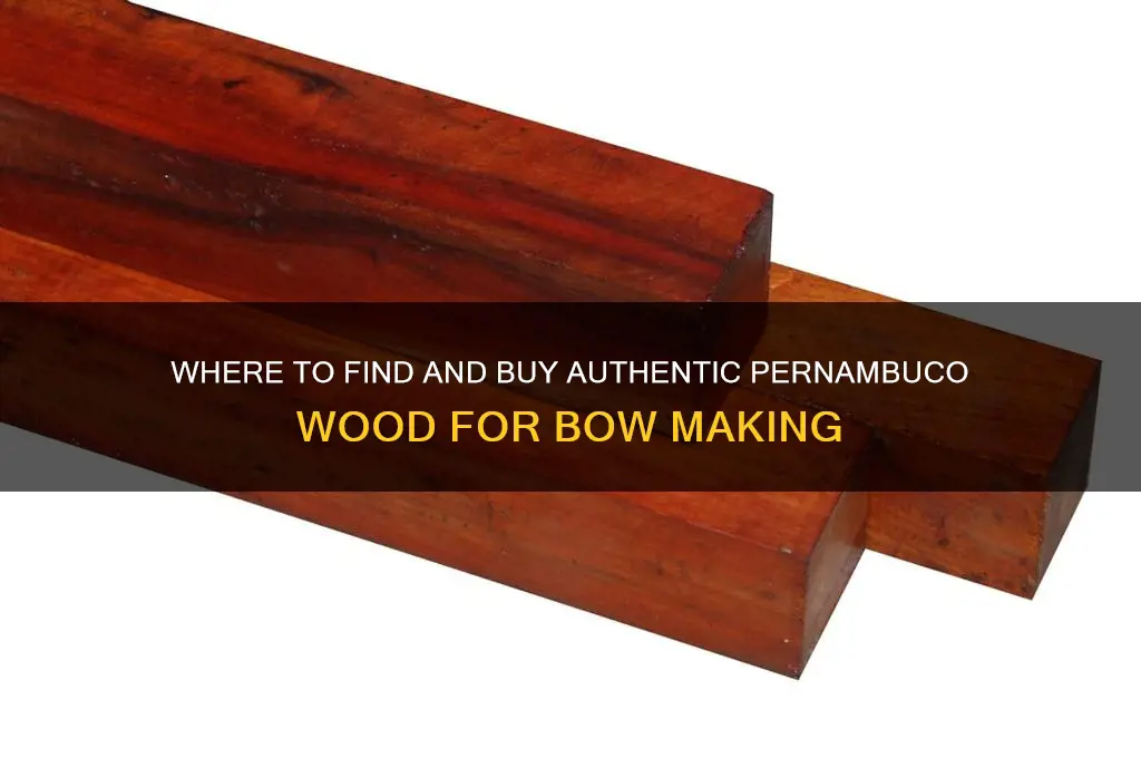 where to buy pernambuco wood