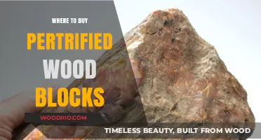 Discover the Best Places to Buy Petrified Wood Blocks