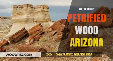 Discover Arizona's Best Spots to Buy Authentic Petrified Wood
