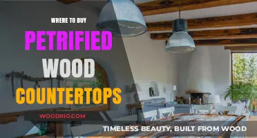 Discover the Best Sources for Petrified Wood Countertops Online