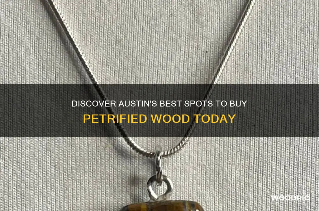 where to buy petrified wood in austin