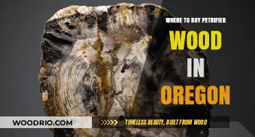 Discover Oregon's Best Spots to Buy Petrified Wood