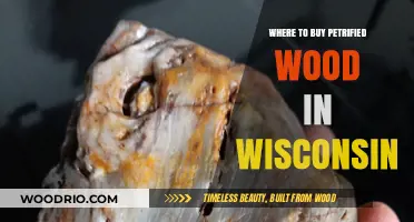 Discover Wisconsin's Best Spots to Buy Petrified Wood
