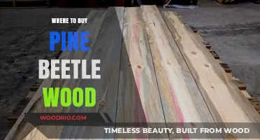 Discover Unique Pine Beetle Wood: Top Sources for Sustainable Lumber