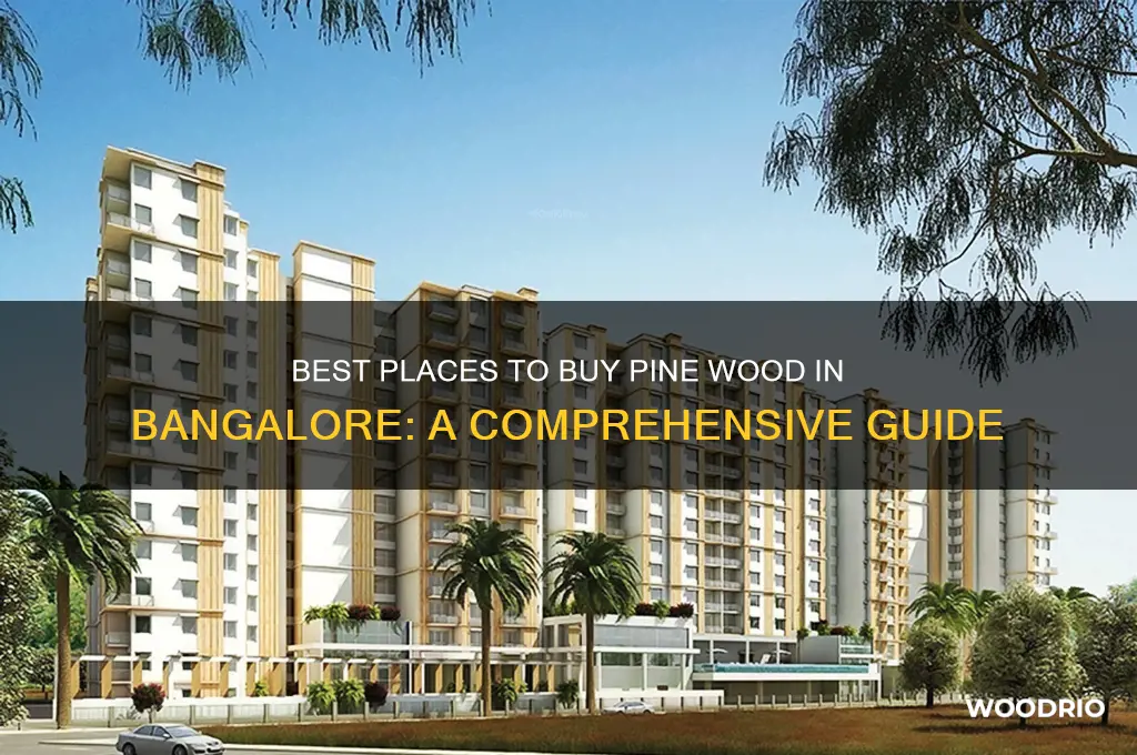 where to buy pine wood in bangalore