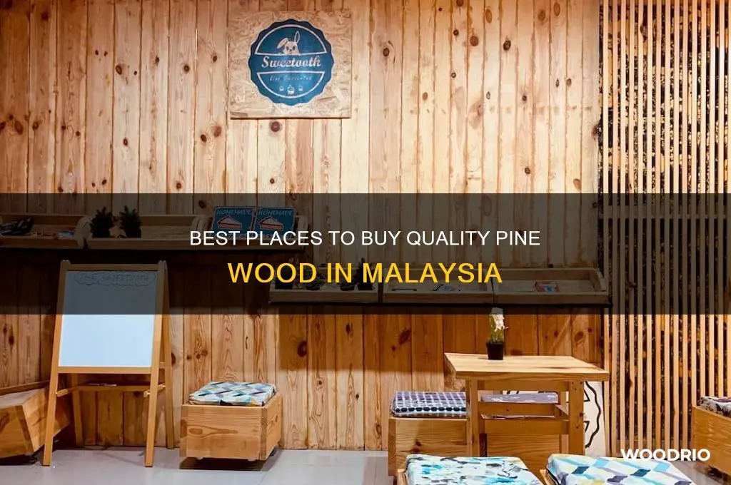 where to buy pine wood in malaysia