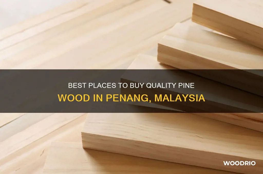 where to buy pine wood in penang